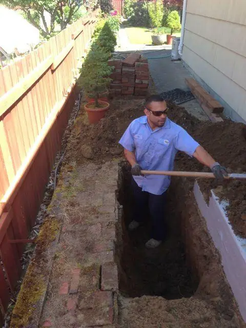 A Budget Rooter technician working in an open trench beside a brick edged garden bed on a Kitsap County property